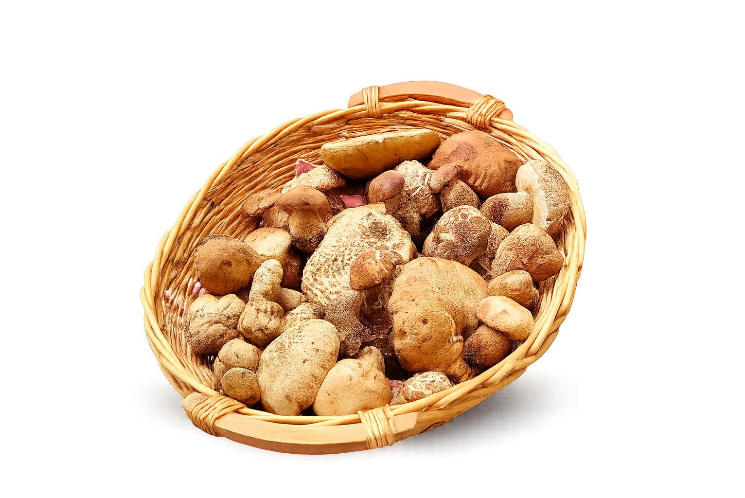 Cesto di porcini